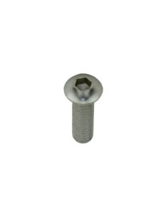 Brake Cantilever Mounting Bolt M6x20mm Chrome.